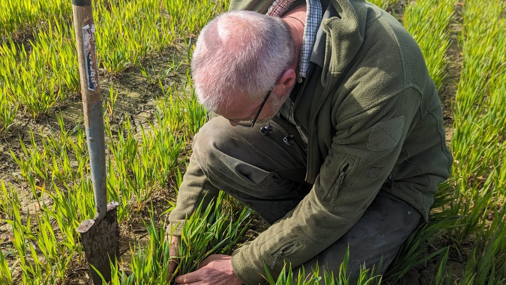 Join us online for the latest insights from AHDB Strategic Cereal Farm North